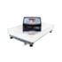 Balança Plataforma 40x60 300Kg PLT 150/300 Bivolt Triunfo