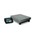 Balança Plataforma Industrial 2099 300kg 600x450 TI200 Toledo