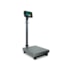 Balança Plataforma Industrial 2099 300kg 600x450 TI200 Toledo