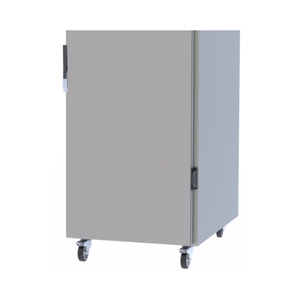 image_ea6cac3e-9ee3-4d02-9de7-ce980d95b995