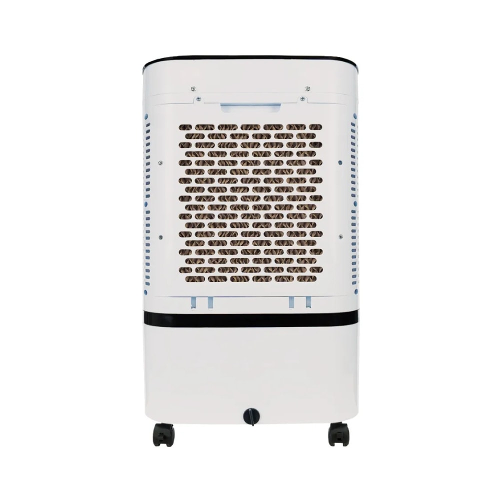 image_cd8cad80-d65e-46b3-afbe-a8cd5cc996b4