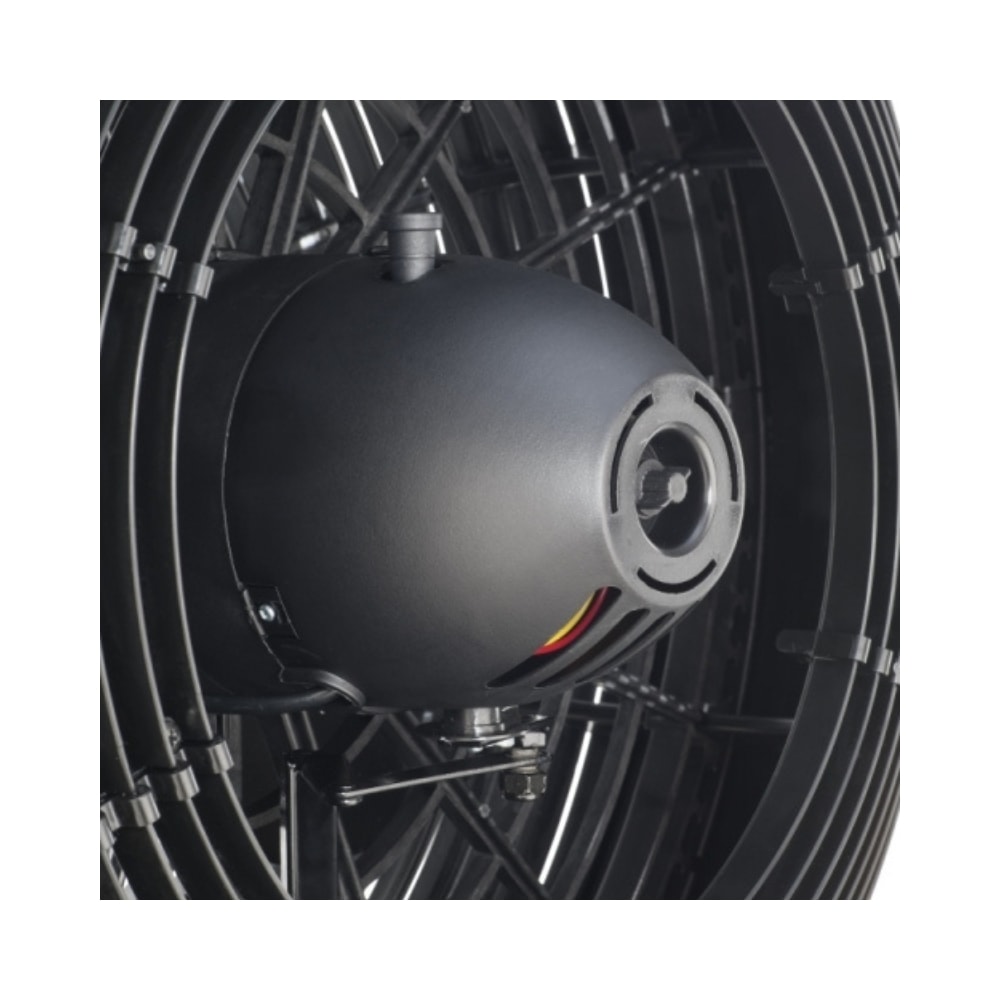 image_bd84a575-449f-4f95-bd83-18d8aa2e8a31