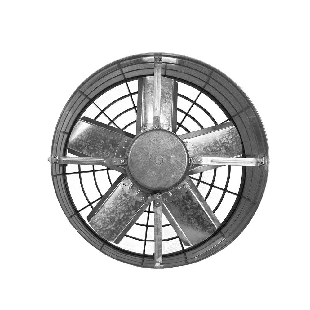 image_f3d1bfaf-b39c-47c8-b1b6-b0be674f2ebc