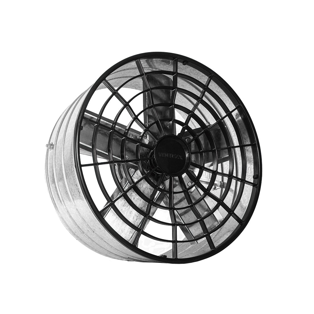 image_98681400-c80c-4829-bb90-973c648e17da