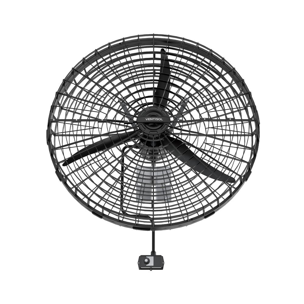 image_c3793efc-4ce2-4aee-8e79-b1681a24371b