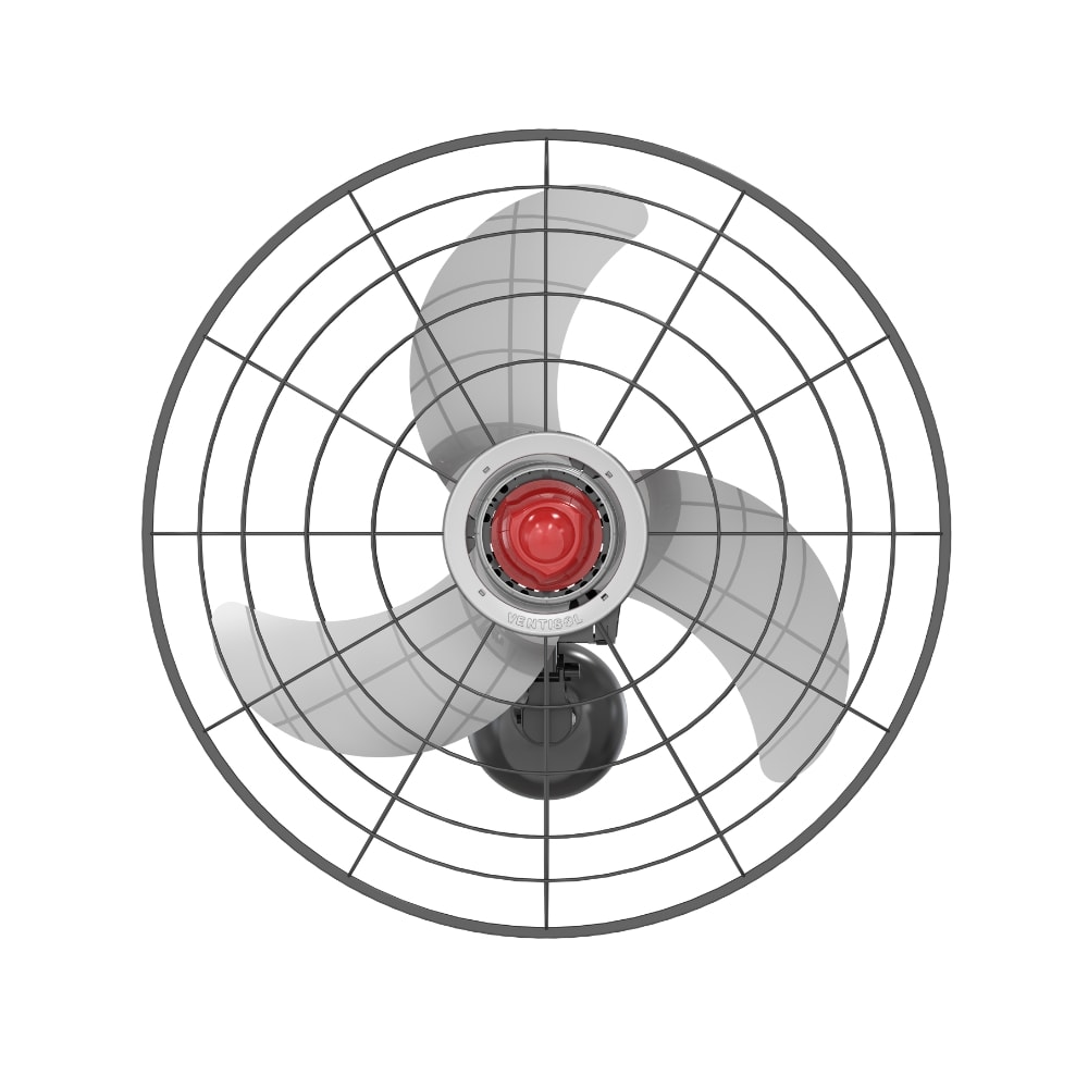 image_c0bbf883-e9f5-40fe-b4dc-ddee1e898a8c