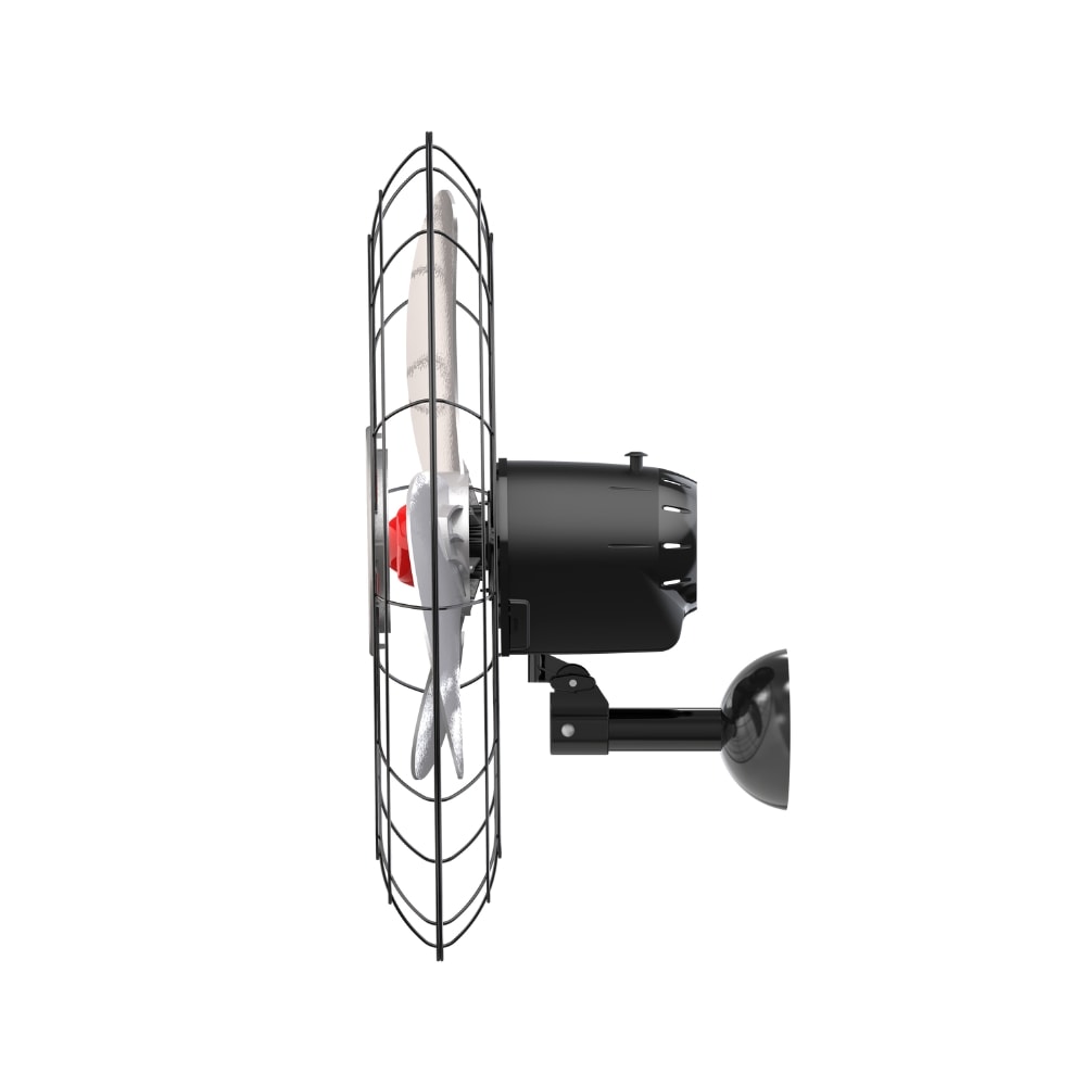 image_424019f1-246f-428f-9462-f9141a41bde8